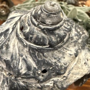May include: Close-up of a large, textured seashell with a spiral top. The shell features a mix of gray and white tones, with a rough, porous surface. The natural design of the shell is highlighted, showcasing its unique shape and texture.