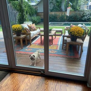 May include: A light beige pug dog stands on a brown mat inside a home, looking towards the camera. Through a glass door, a patio with wooden furniture, colorful rug, and potted yellow flowers is visible.