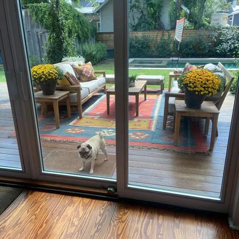 May include: A light beige pug dog stands on a brown mat inside a home, looking towards the camera. Through a glass door, a patio with wooden furniture, colorful rug, and potted yellow flowers is visible.