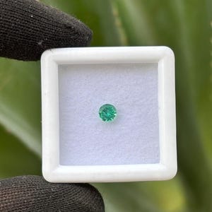 May include: A small, round, emerald-green gemstone is centered in a white square display case. The gemstone is held by a person wearing a black glove. The background is a blurred view of green foliage.