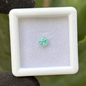 May include: A round, light green gemstone is displayed in a white square case. The gemstone has a faceted surface, reflecting light. The case is set against a blurred green background, suggesting a natural setting. The gemstone is the focal point.