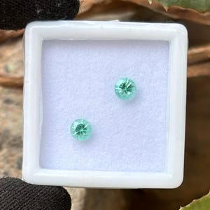 May include: Two round, faceted, light teal gemstones are displayed in a white square box. The gems have a starburst pattern. The box is on a surface with green foliage.