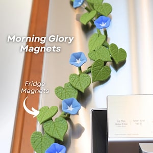 Morning Glory Fridge Magnets
