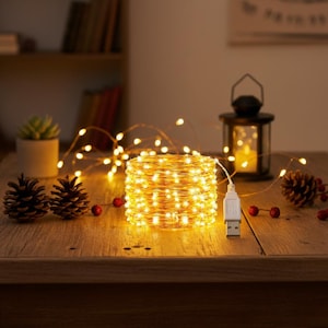 USB LEDフェアリーライト：銅線、防水 - 1メートル