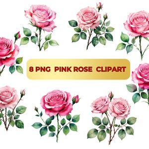 Rosa Rose Aquarell Clipart Set: Blumen PNG Grafiken (Digitaler Download)
