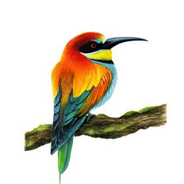 Print from my Watercolor Bird multicolored for wall decoration