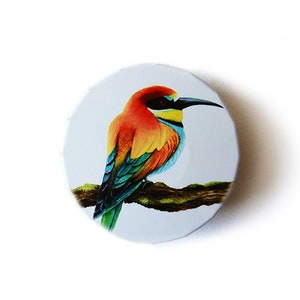 Puede incluir: Un pájaro colorido con plumas naranja, amarillo, azul y verde posado en una rama. El pájaro tiene un pico largo y delgado y mira hacia la derecha. El fondo es azul claro.