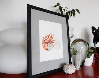Art print based on my Nautilus watercolor for wall decoration