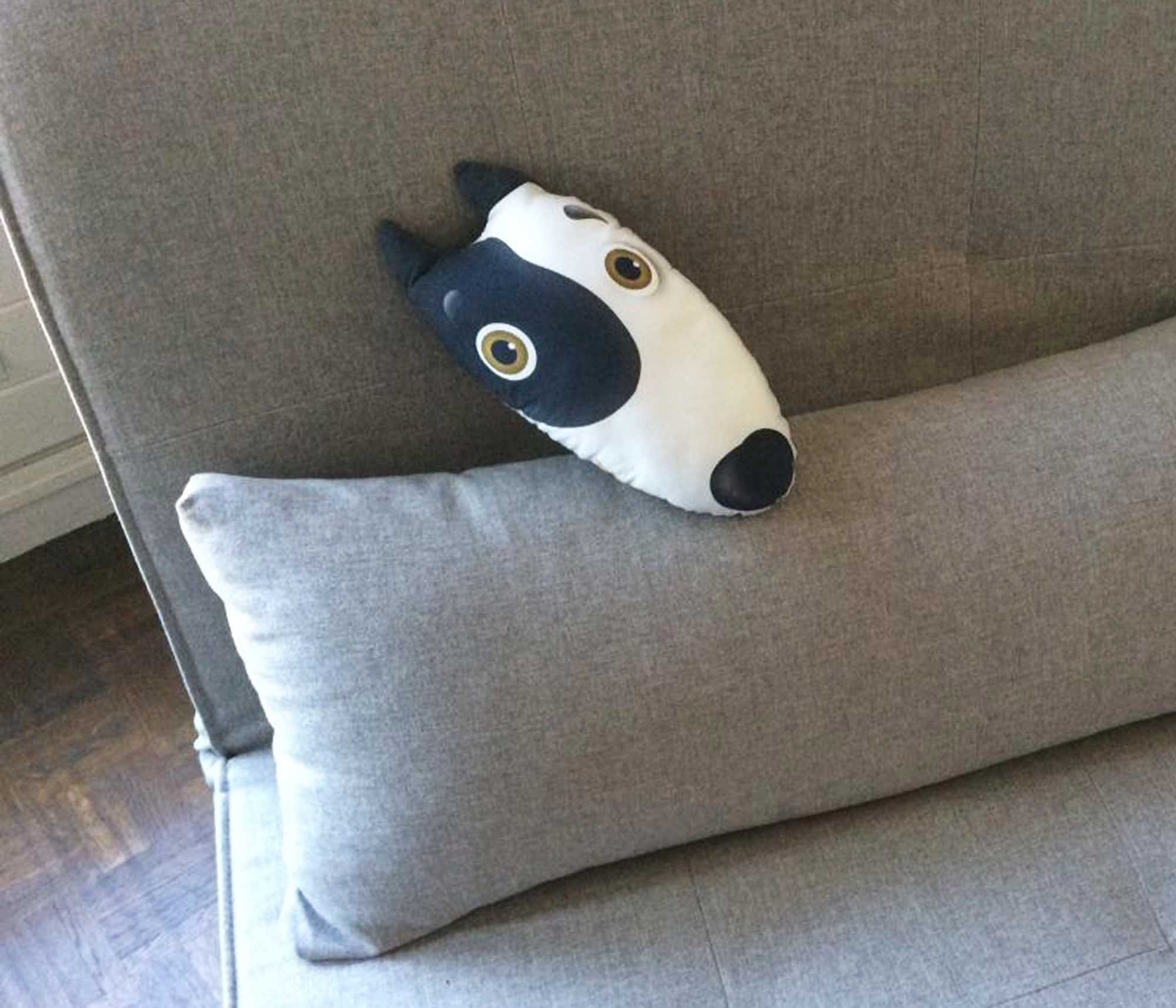 Petit Coussin Déco Tête de Chien, Noir et Blanc, Cadeau Chien Rigolo