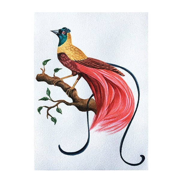 Aquarelle originale Oiseau de Paradis rose pour décoration murale