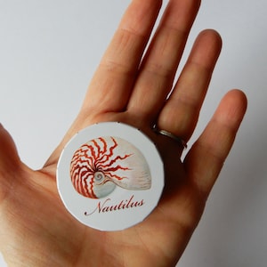 Boite Clic-Clac métallique Illustrée Nautile ou corail boite à pilules bonbons cendrier de poche