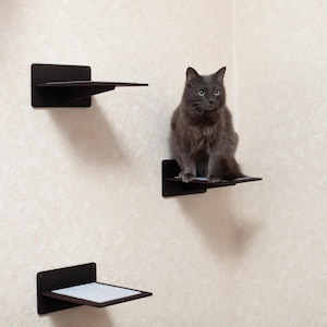 May include: Three black wall-mounted cat shelves with a gray cat sitting on one. The shelves are rectangular with a small lip and are mounted on a beige wall. The cat has gray fur and green eyes.