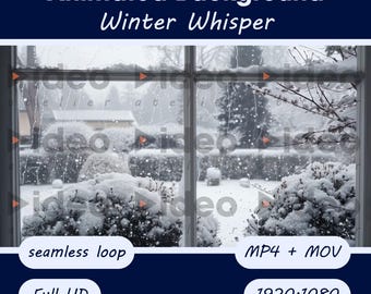Winter Nature Video Background Loop: Calming Home Decor for Zoom (Full HD Digital Download)