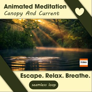 以下が含まれることがあります： 「Animated Meditation: Canopy And Current」を宣伝する画像。木々の間から太陽光が差し込む静かな湖の様子が描かれています。「Escape. Relax. Breathe.」と「seamless loop」の文字が含まれています。