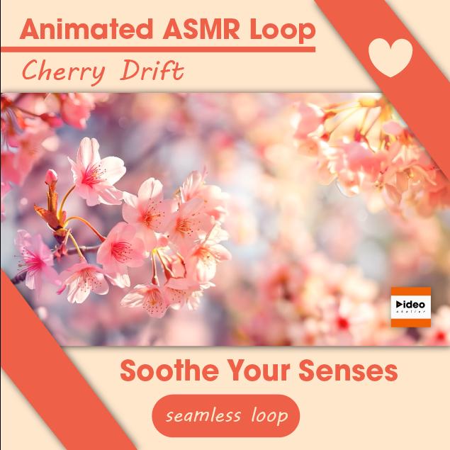 Animated Cherry Blossom ASMR Loop: Relaxing Meditation Video (1080p ...