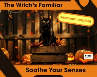 Halloween ASMR Video Loop: Witch's Cat, Pumpkin - Relaxing Spooky Animation (Digital Download))