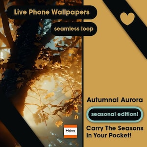 Fondo de pantalla animado de Aurora otoñal: Pantalla de bloqueo animada relajante (Descarga digital FHD/1080p)