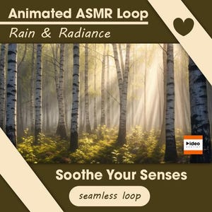 May include: An image of a forest scene with tall birch trees and sunlight streaming through the trees. The text "Animated ASMR Loop Rain & Radiance" is at the top, and "Soothe Your Senses" is at the bottom.