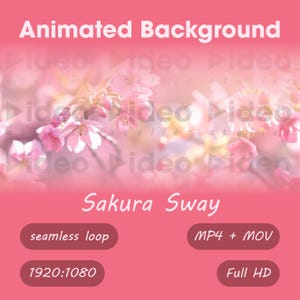 May include: Pink animated background with cherry blossom flowers. The text "Animated Background" is at the top, and "Sakura Sway" is in the middle. Includes "seamless loop", "MP4 + MOV", "1920:1080", and "Full HD".