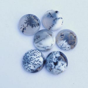May include: A collection of five round dendritic agate cabochons. Each stone features a unique pattern of black and gray inclusions resembling tree-like formations against a translucent white background. The polished stones are arranged in a circular pattern.