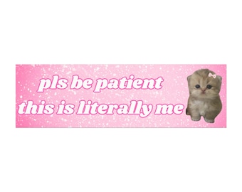 Imán para parachoques de gato adorable de 25 x 7,6 cm, divertido, meme, alternativa a pegatinas divertidas