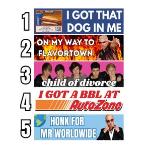 May include: A collage of five humorous images with text. The first shows a hot dog and Pepsi with the text "I GOT THAT DOG IN ME." The second says "ON MY WAY TO FLAVORTOWN." The third says "child of divorce." The fourth says "I GOT A BBL AT AutoZone." The fifth says "HONK FOR MR WORLDWIDE."