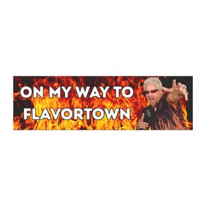 10" x 3" Funny Bumper Magnets | Mr Worldwide, Cracker Barrel, Autozone, Guy Fieri, Costco Parody Humor | Bumper Sticker Alternative image 6