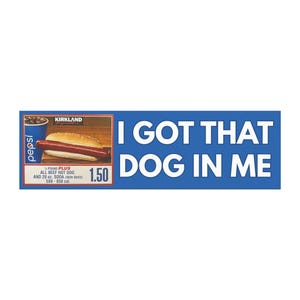 10" x 3" Funny Bumper Magnets | Mr Worldwide, Cracker Barrel, Autozone, Guy Fieri, Costco Parody Humor | Bumper Sticker Alternative image 8