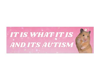 25,5 cm x 7,5 cm autism-stötfångarmagnet, rolig stötfångarmagnet, rolig bilmagnet, alternativ till stötfångardekal, biltillbehör, meme-stötfångarmagnet