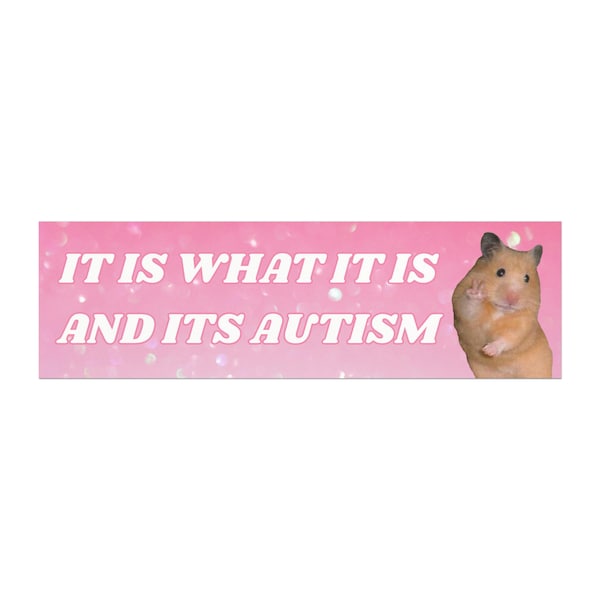 10" x 3" Autism Bumper Magnet, Funny Bumper Magnet, Funny Car Magnet, Bumper Sticker Alternative, Car Accessory, Meme bumper Magnet
