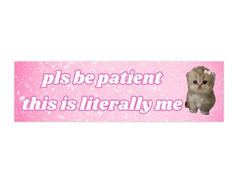 11" x 3" This is Literally Me Bumper Sticker, Funny Bumper Sticker, Meme Bumper Sticker, Nostalgic Sticker Funny Car Magnet Alternative