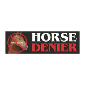 10" x 3" Horse Denier Bumper Magnet, Funny Bumper Magnet, Funny Car Magnet, Bumper Sticker Alternative, Horses Aren't Real, Car Accessory