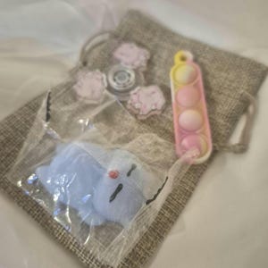 May include: A small drawstring bag containing a variety of sensory toys. The bag holds a fidget spinner with pink accents, a pea pod-shaped pop-it toy, and a small blue plush toy. The background is a light-colored surface.