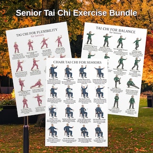 Senior Tai Chi Übungspaket, Balance & Flexibilität Tai Chi für Senioren, Stuhl Tai Chi druckbare Diagramme, 3 Tai Chi Poster