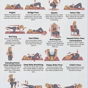 May include: Illustrated guide of pelvic floor exercises for women. The image shows various exercises, including Kegels, Bridge Pose, Squats, and Pelvic Tilts. Each exercise is demonstrated with a stick figure and includes instructions.