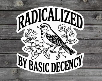 Pegatina "Radicalizado por la Decencia Básica", protesta contra la democracia liberal de izquierdas y los derechos humanos, vinilo impermeable troquelado, regalo para portátil.