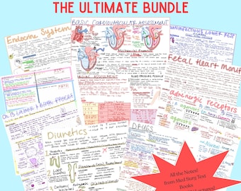 All-in-One Stillnotizen Mega Bundle | Handgeschriebene Studienführer für Pflegestudierende & RNs