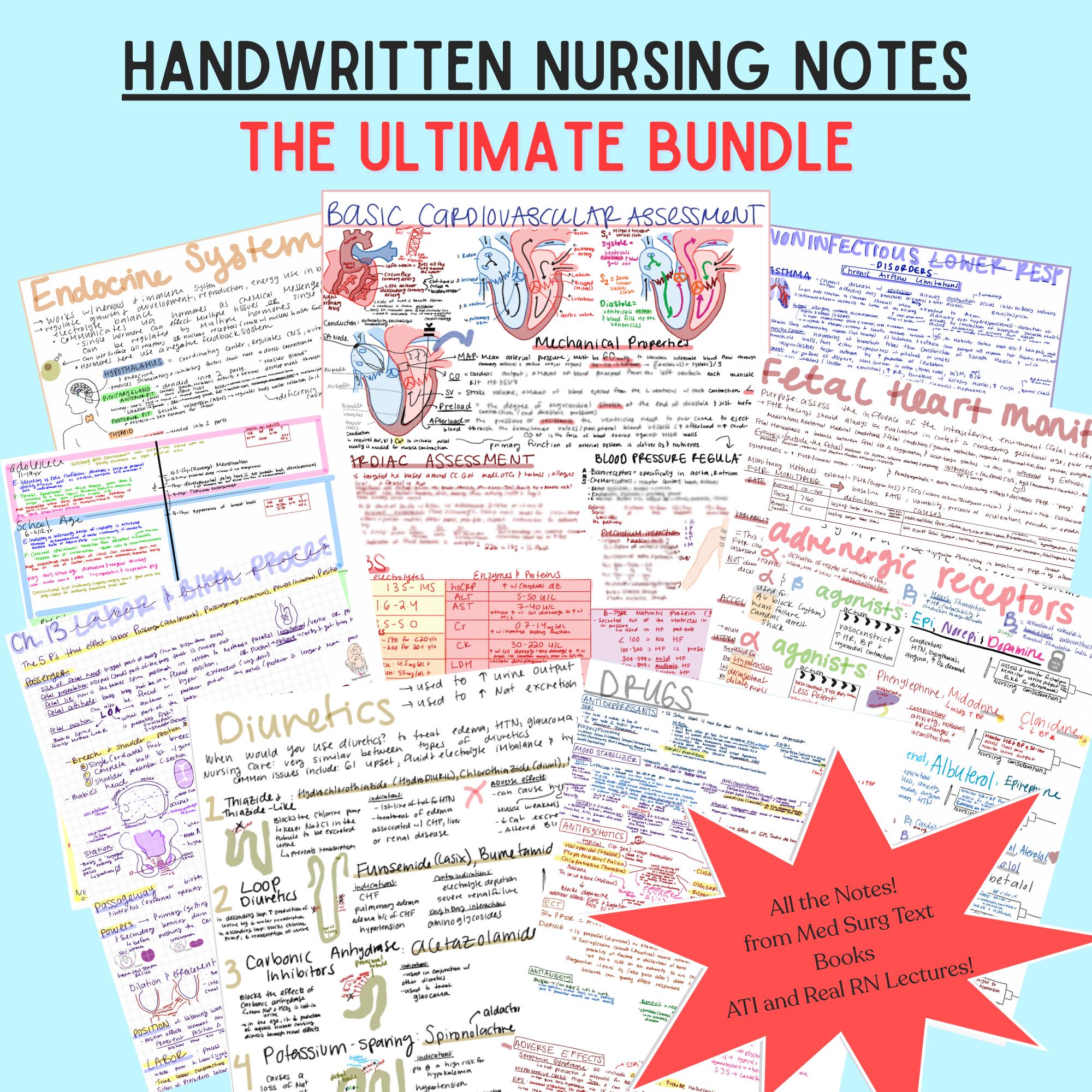 All-in-one Nursing Notes Mega Bundle | Handwritten Study Guides for ...