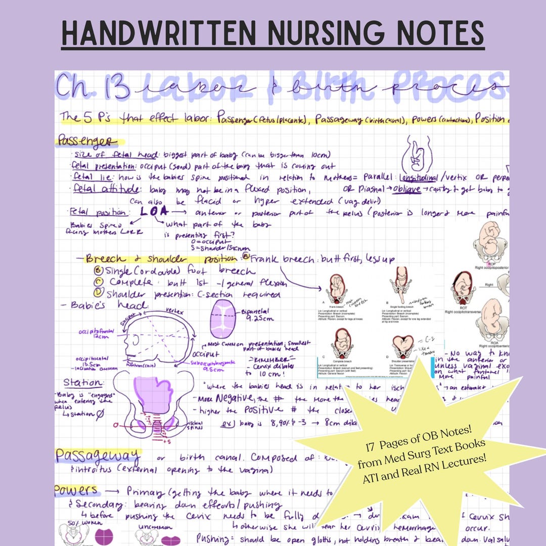 OB Labor and Delivery Nursing Notes: Handwritten Study Guide (PDF ...