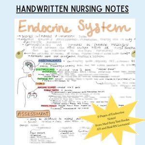 May include: Handwritten nursing notes on the endocrine system, featuring detailed diagrams and explanations. The notes cover topics like hormones, glands, and feedback systems. A yellow starburst graphic highlights "9 Pages of Endocrine Notes!"