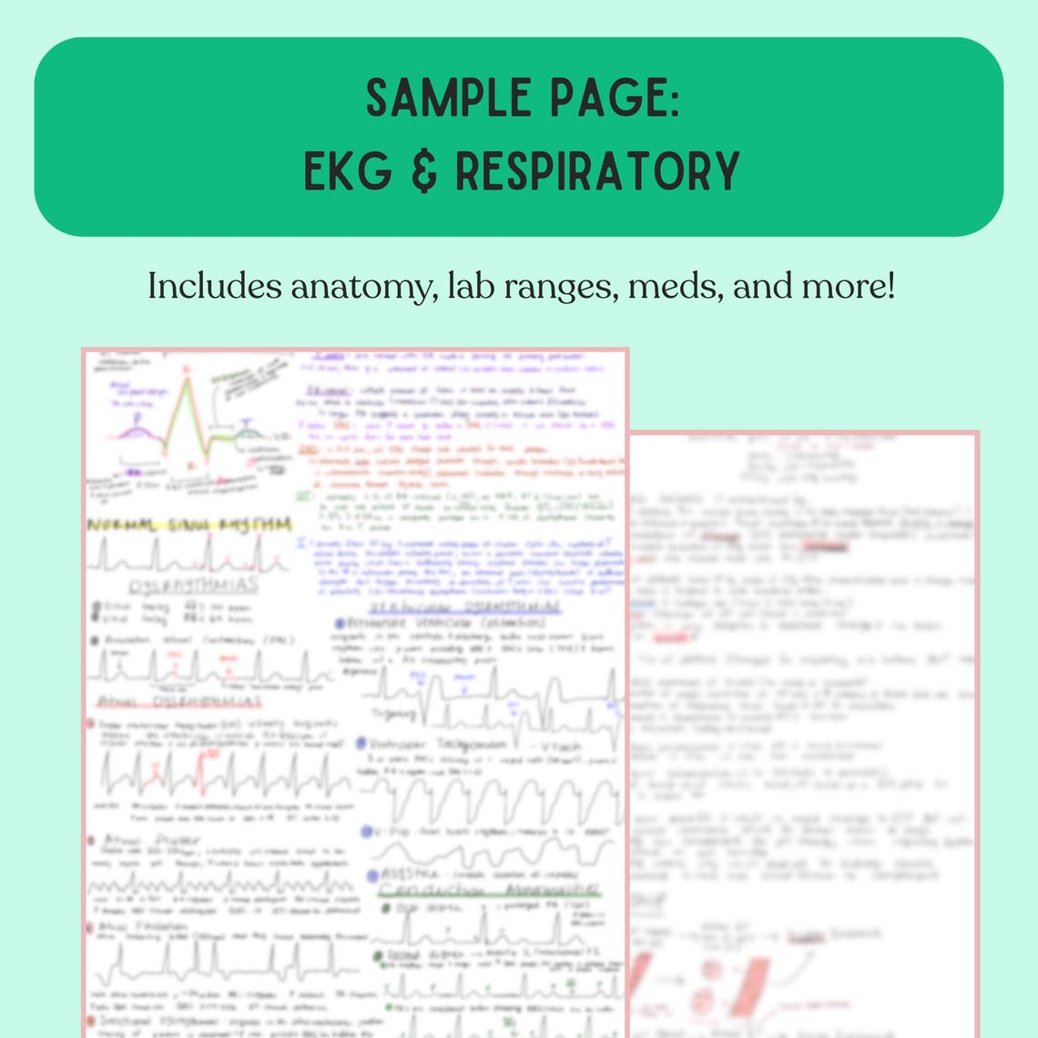 All-in-one Nursing Notes Mega Bundle | Handwritten Study Guides for ...