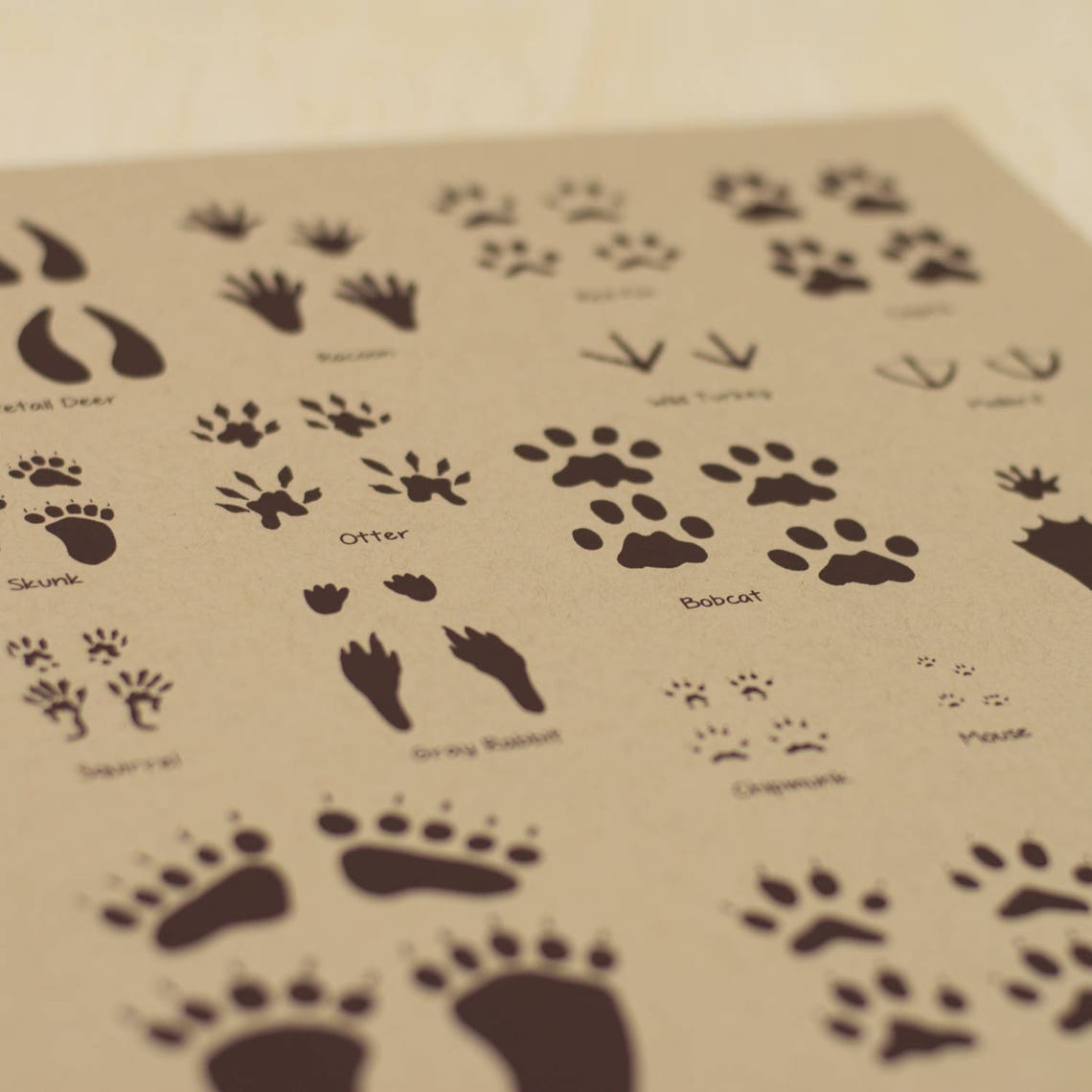 Animal Tracks Screen Print Poster Etsy