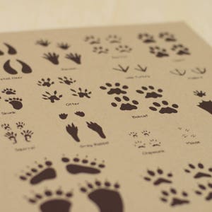 Animal Tracks Screen Print Poster image 2