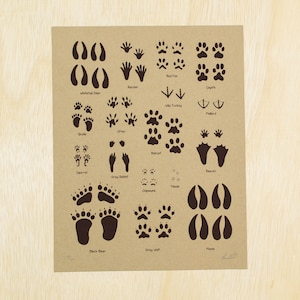 Plakat sitodrukowy Animal Tracks