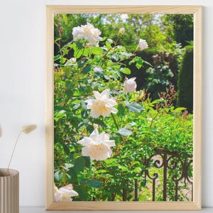 Blumen Bundle, druckbare Kunst, Original Natur Fotografie, druckbare Postkarte, Sofort Download