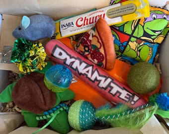 Cat Toy Gift Box-90’s Theme Teenage TMNT-Cowabunga Turtle- 10 Goodies