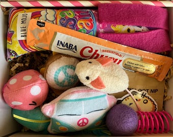 Cat Toy Gift Box-I Love the 90’s Lisa Frank Inspired Limited Edition- 10 Goodies