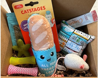 Cat Toy Gift Box: Organic Catnip Toys, Handmade Rattle Pillow