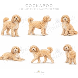 Cockapoo Dog Clipart PNG | Cockapoo Illustration Bundle | Dog Digital Download for Cricut, Sublimation, Stickers & Prints