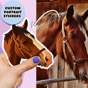 Custom Horse Sticker from Photo, Cartoon Pet Portrait, Funny Personalised Gift for Horse Owner, Horse Mum, Horse Dad, Personalised Portrait